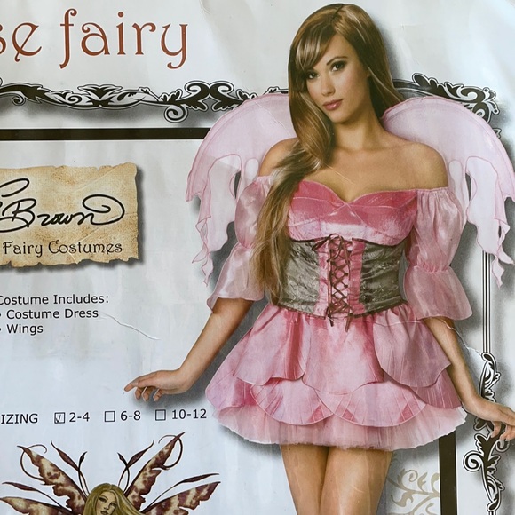 Fairy dress costume - Picture 1 of 1